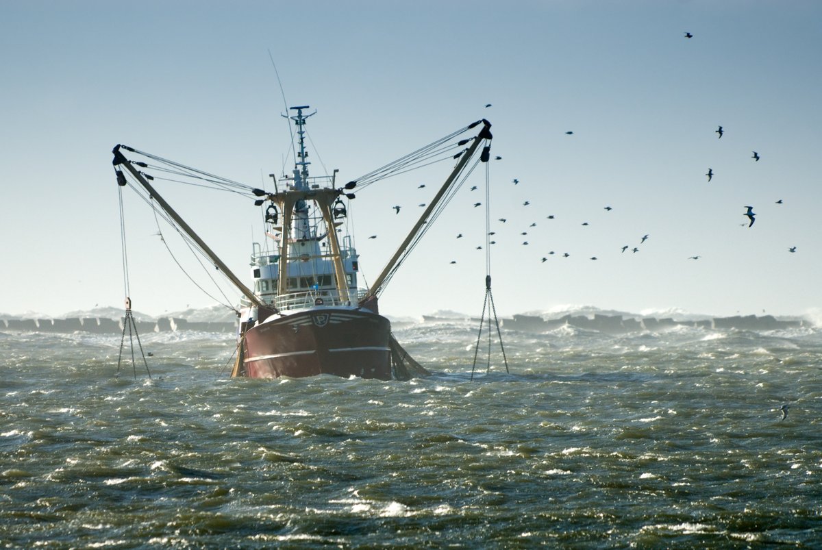 Data collected by SMARTFISH systems will provide critical data for stock assessment, in addition to information on compliance with fisheries regulations. 📊🎣
#smartfish #smartfishh2020 #catchscanner #catchsnap #catchmonitor #fisheriesscience
📸Adobe Stock - Eric Gevaert