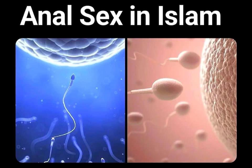 Pending Ustaz👳🏽‍♂️📿 on Twitter "RT Eqraaam Anal sex with your wife