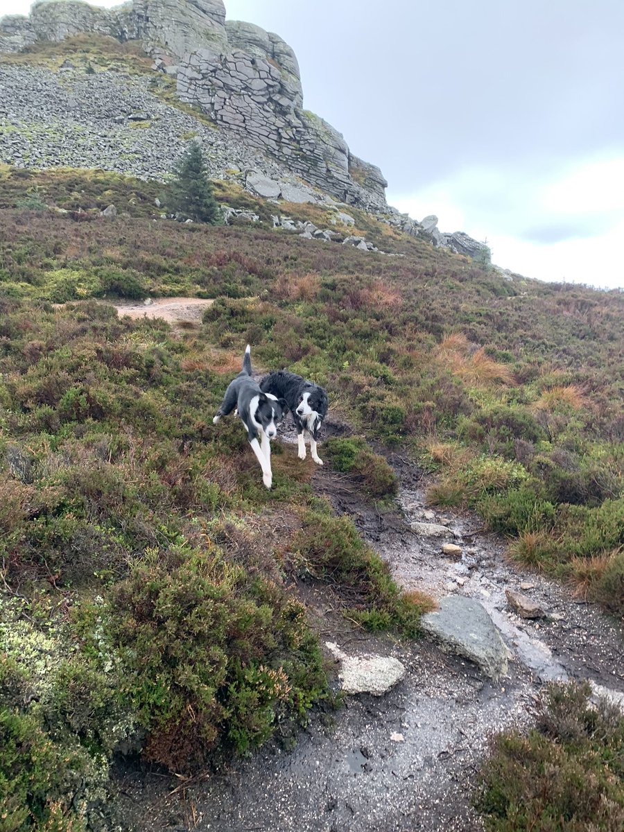 e_macdonald2's tweet photo. A cold but fun walk up Mither Tap this morning! https://t.co/yLfomVkhjw