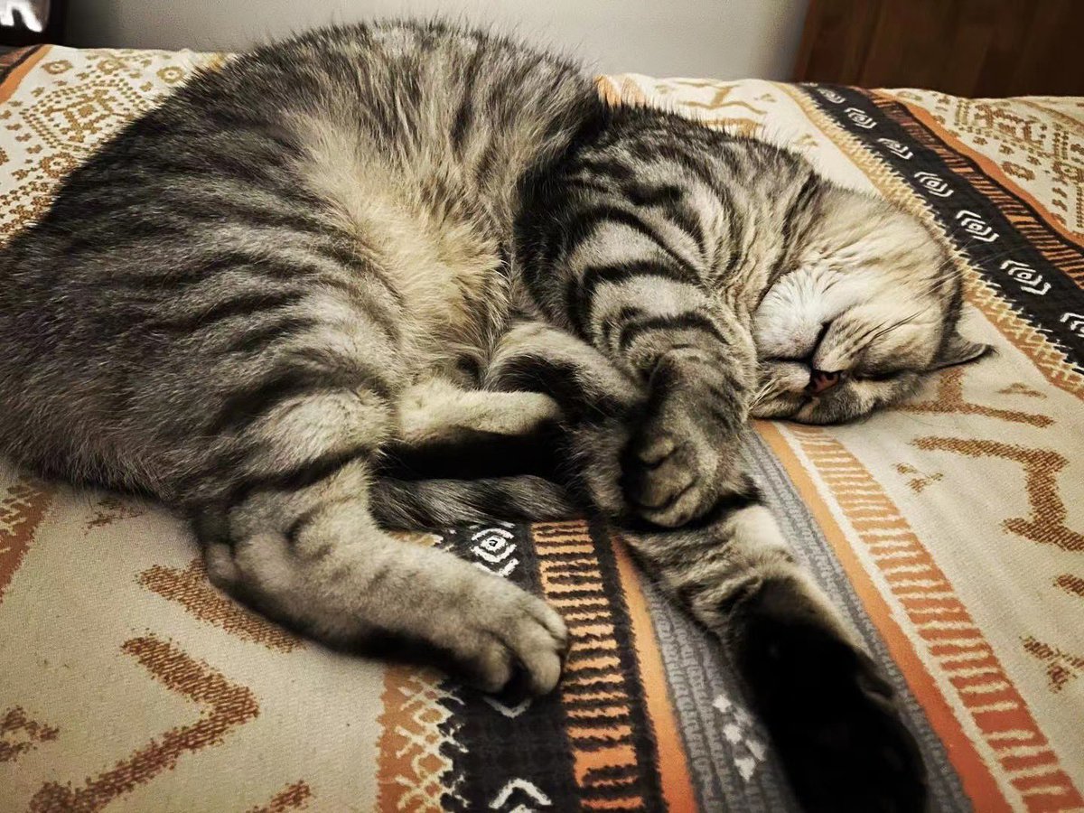 Ray (@invictusray) on Twitter photo 