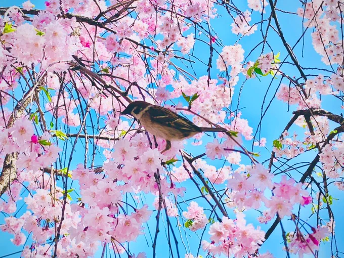 それはそうと、今年は良い写真が撮れました 