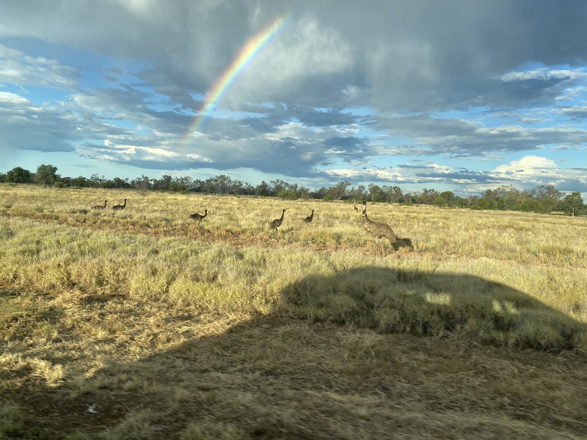 Back to pre-covid times: last Sunday in Kerala - faculty at CHIP Summit, then worked in Brisbane, Thu-Fri in Melboune 3 CTOs and 5 orbitals proctoring (first in Victoria). Now around Longreach for outreach cardiac clinic.