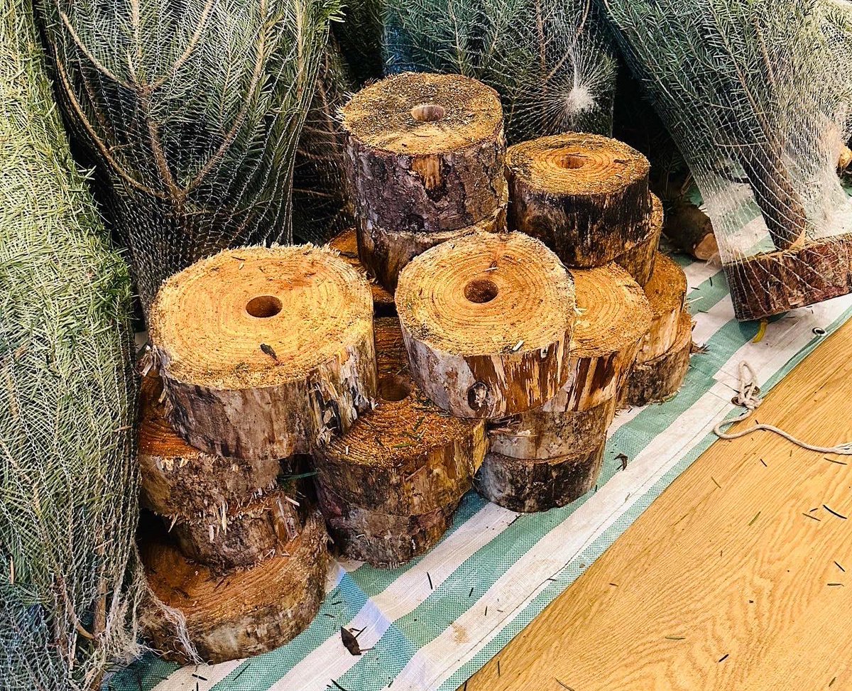 Hither Green tweet media