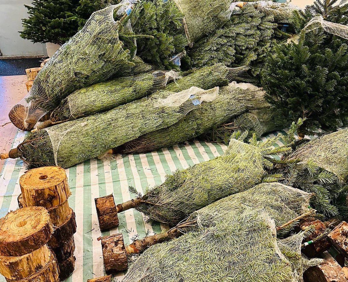 Hither Green tweet media