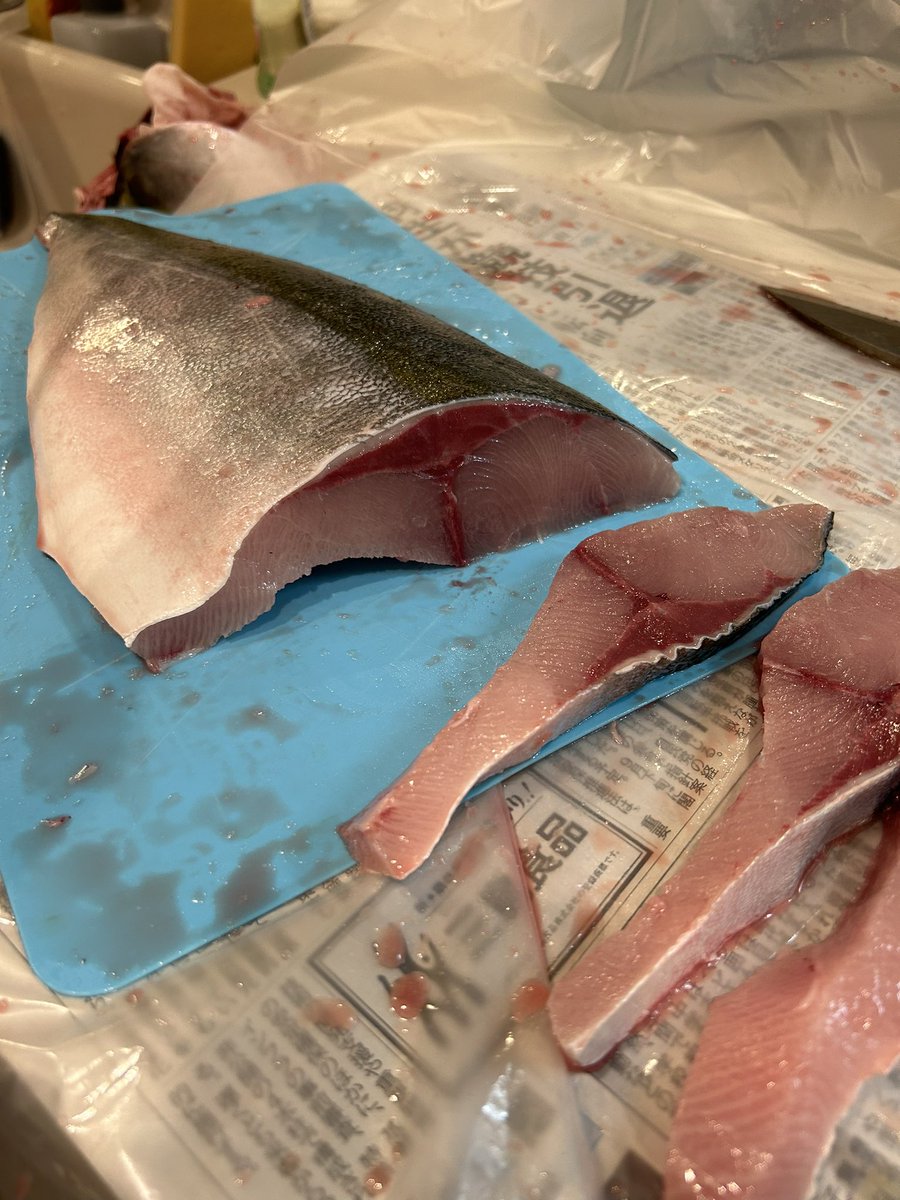 えぐいの釣れました!!!!!!!!!!!!!
脂でてかてかすぎる笑