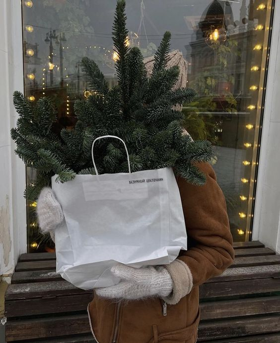 etherealdior's tweet photo. decorating for christmas is half the fun https://t.co/K89K4OCtj0
