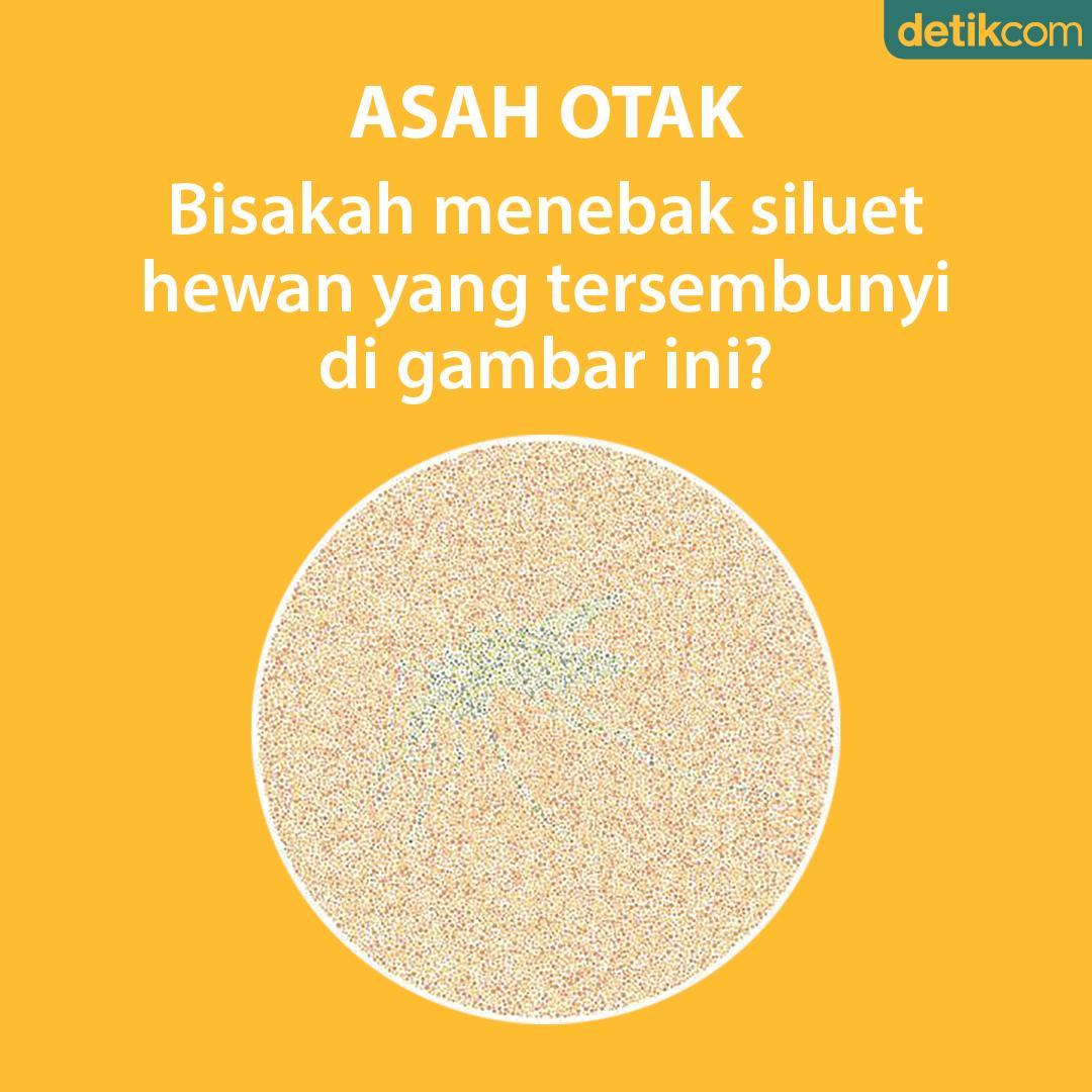 detikcom's tweet photo. Untuk mengahabiskan waktu akhir pekan kamu, Bisakah detikers menebak siluet hewan yang tersembunyi di gambar ini?

Petunjuknya: Gambar ini merupakan serangga terbang yang dikenal menyebar penyakit.

#asahotak #tebaktebakkan https://t.co/ZcCKYj1qXV