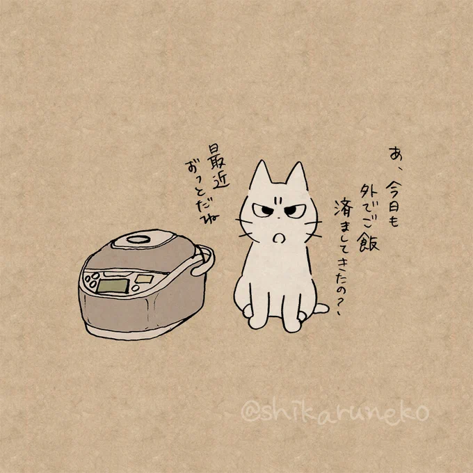炊飯器のお釜をすぐ洗わない人を叱ってくれる猫 
