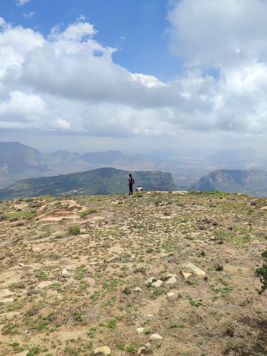 Hiking Adventures tweet media