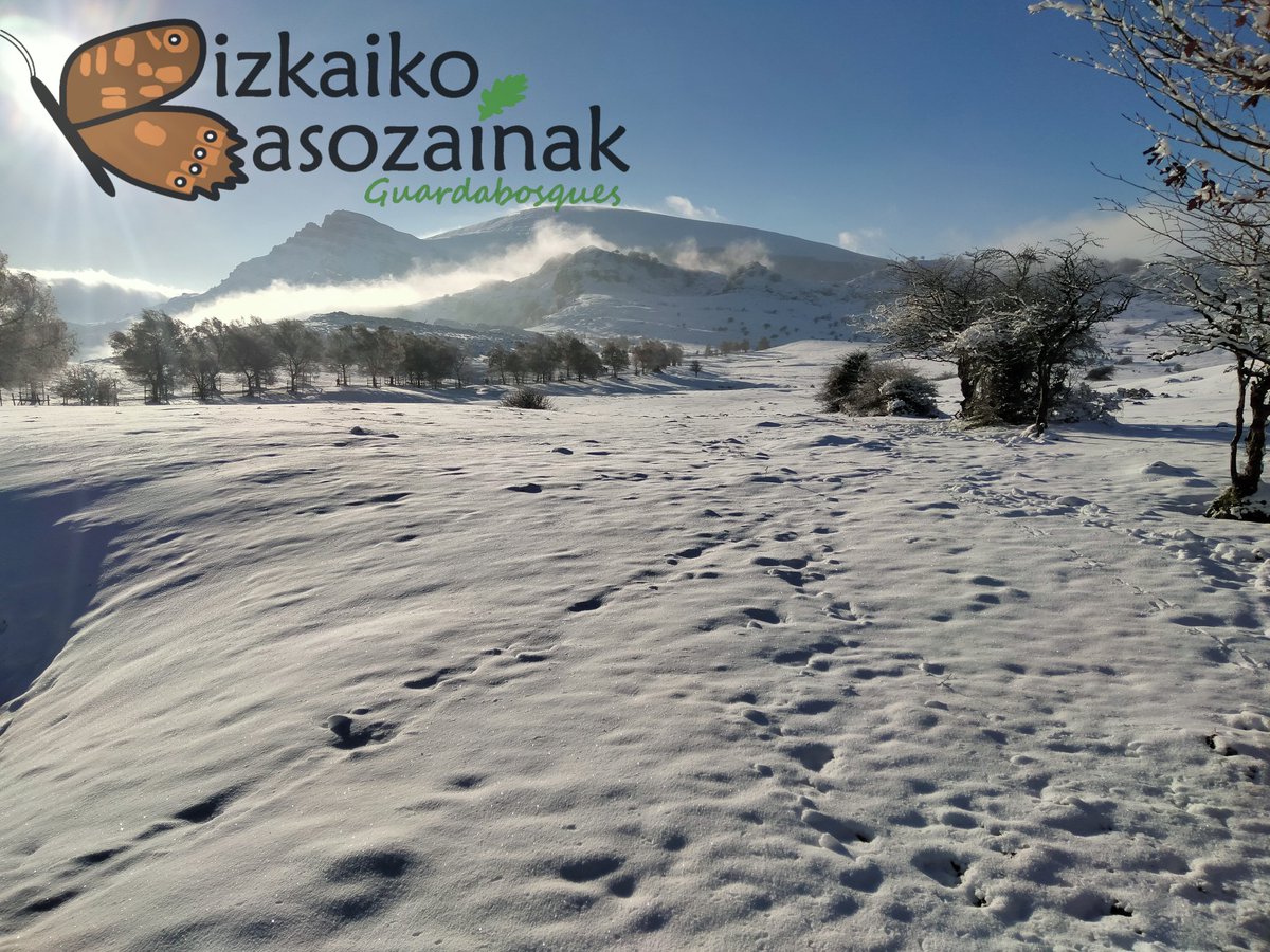 Biz_Basozainak's tweet photo. Con las condiciones actuales de buena meteorología y #nieve en los #montes, el aparcamiento de #Pagomakurre ya está lleno. Estamos redirigiendo los coches al parking de Larreder.
#Gorbeia #ParkeNaturala @Euskalmet @112_SOSDeiak https://t.co/kq1uyyrYoB