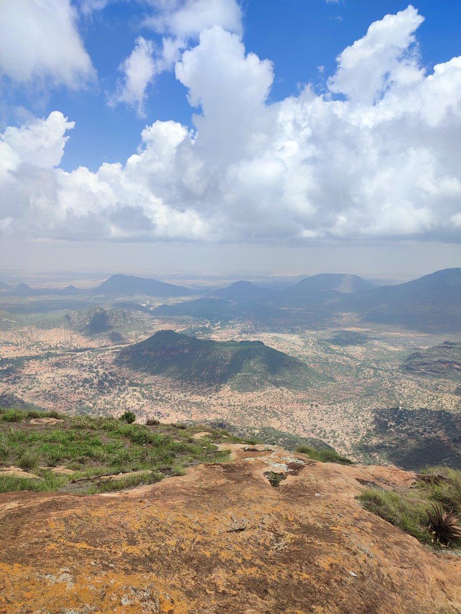 Hiking Adventures tweet media