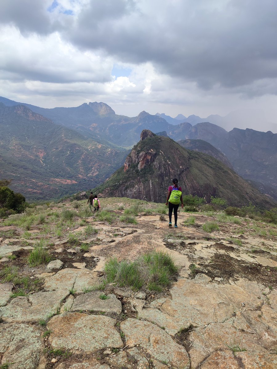 Hiking Adventures tweet media