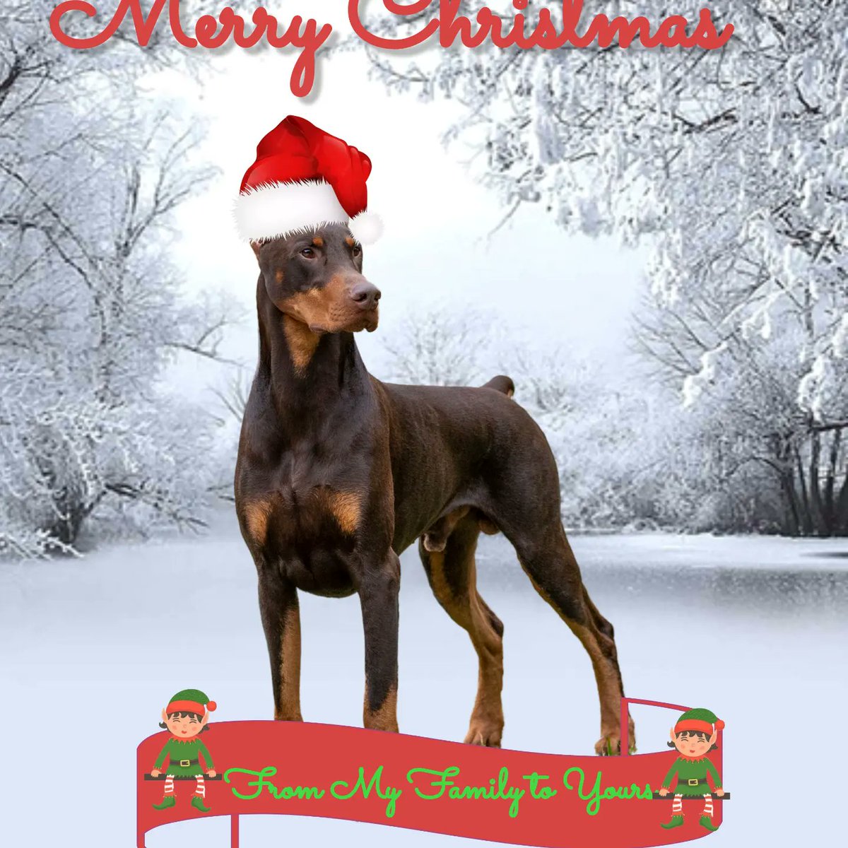 Christina Barker (@uncgerl33) on Twitter photo 