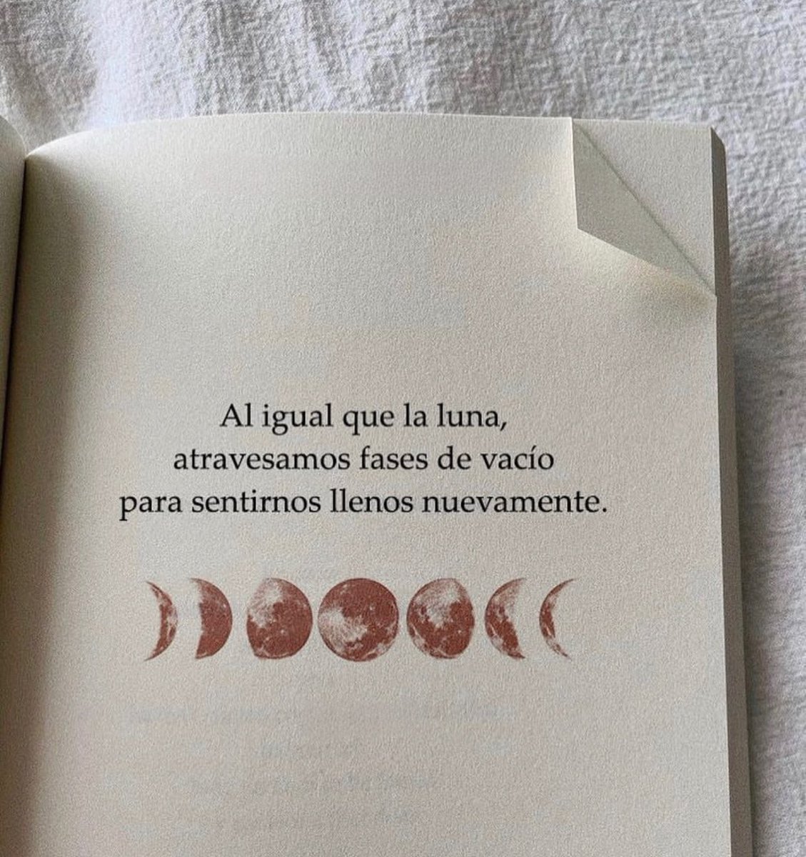 Vanesa_A6's tweet photo. ❤️ https://t.co/MAWNpZ4CF4