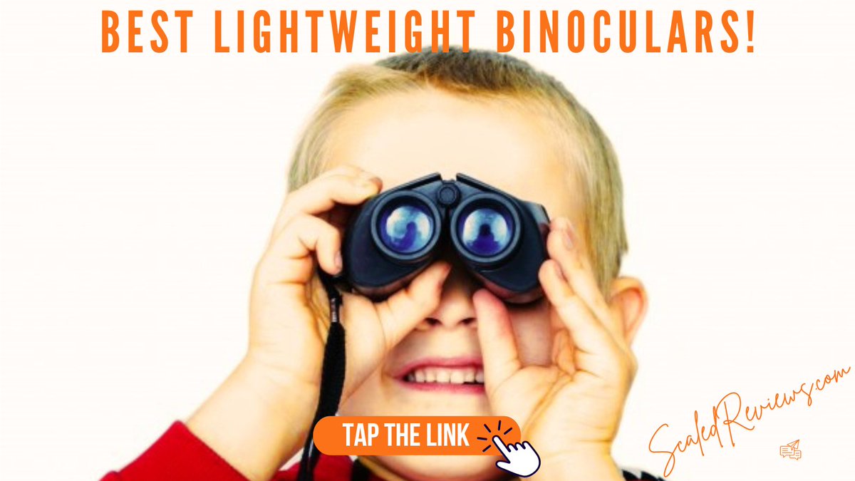ScaledReviews's tweet photo. Best Lightweight Binoculars!

We've picked the top three models for your adventures!

#lightweightbinoculars #bestlightweightbinoculars #bestlightweightbinoculars #bestlightweightbinoculars #compactbinoculars #scaledreviews

https://t.co/wsUUi9YXWK https://t.co/fZM7sZz6oG