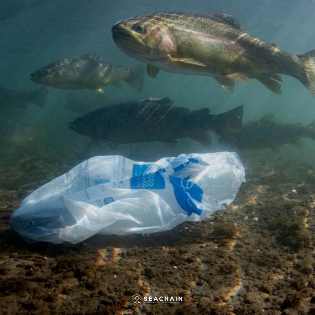Much of the garbage reaches the oceans through the rivers, especially in places that do not have a proper disposal. By disposing of our garbage correctly, we are saving several marine animals and entire ecosystems!