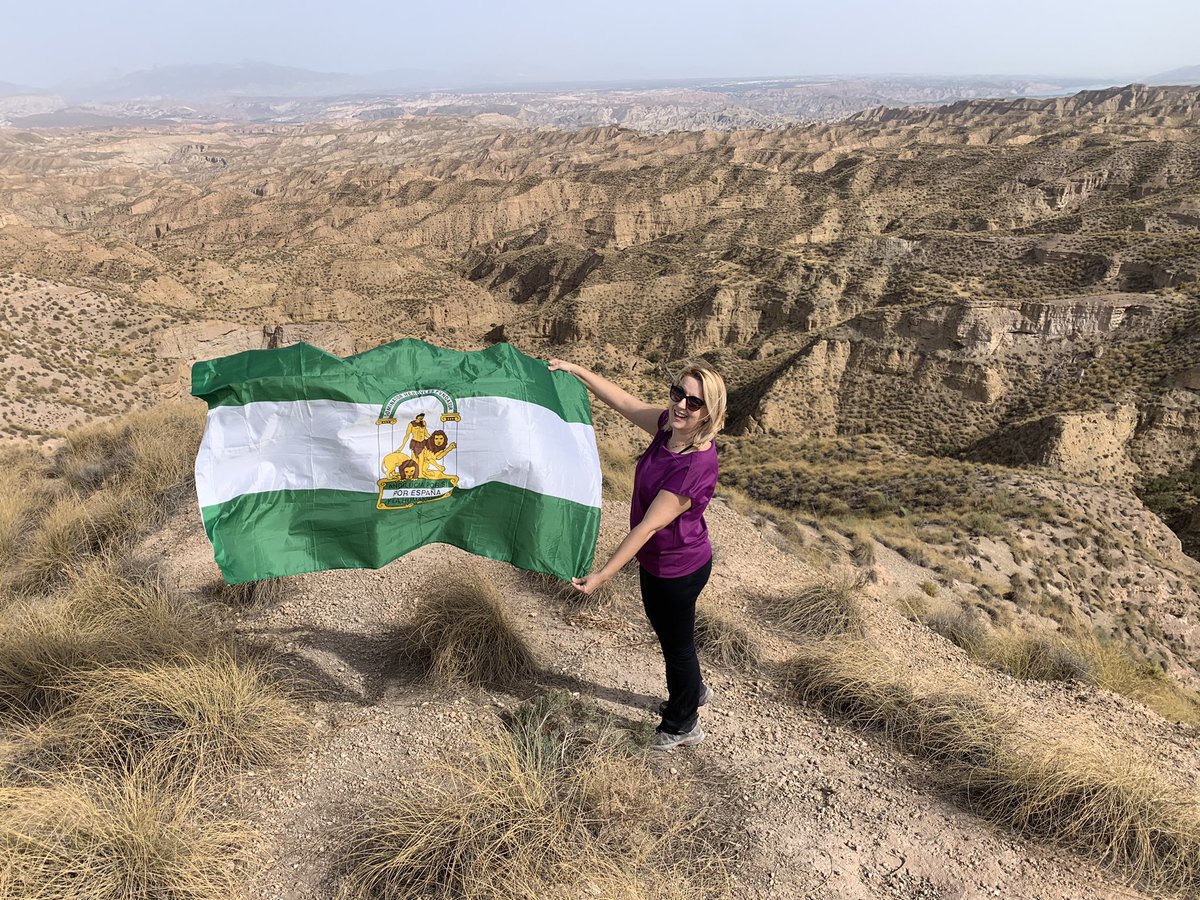 RocoPadilla11's tweet photo. #DíaDeLaBanderaAND 💚🤍💚 #4D https://t.co/Uc2x5eLDfG