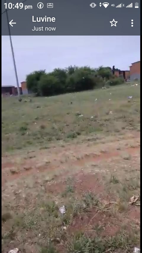 FaradebaE's tweet photo. @CityofJoburgZA please cab we get a reference number ,we need these trees guineas it is a haven for criminal activities,ext 4 eldorado Park,heerengrath street cnr Millerton street.its a matter of urgency. https://t.co/FNZfmp3rtd