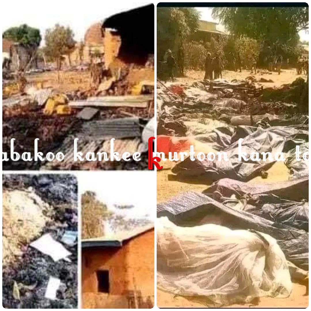 GodIsGo58948238's tweet photo. Ethiopian governmet mass kiiling Oromia tegion
 Abiyi Ahimed a killer https://t.co/JHeS9tJdQe