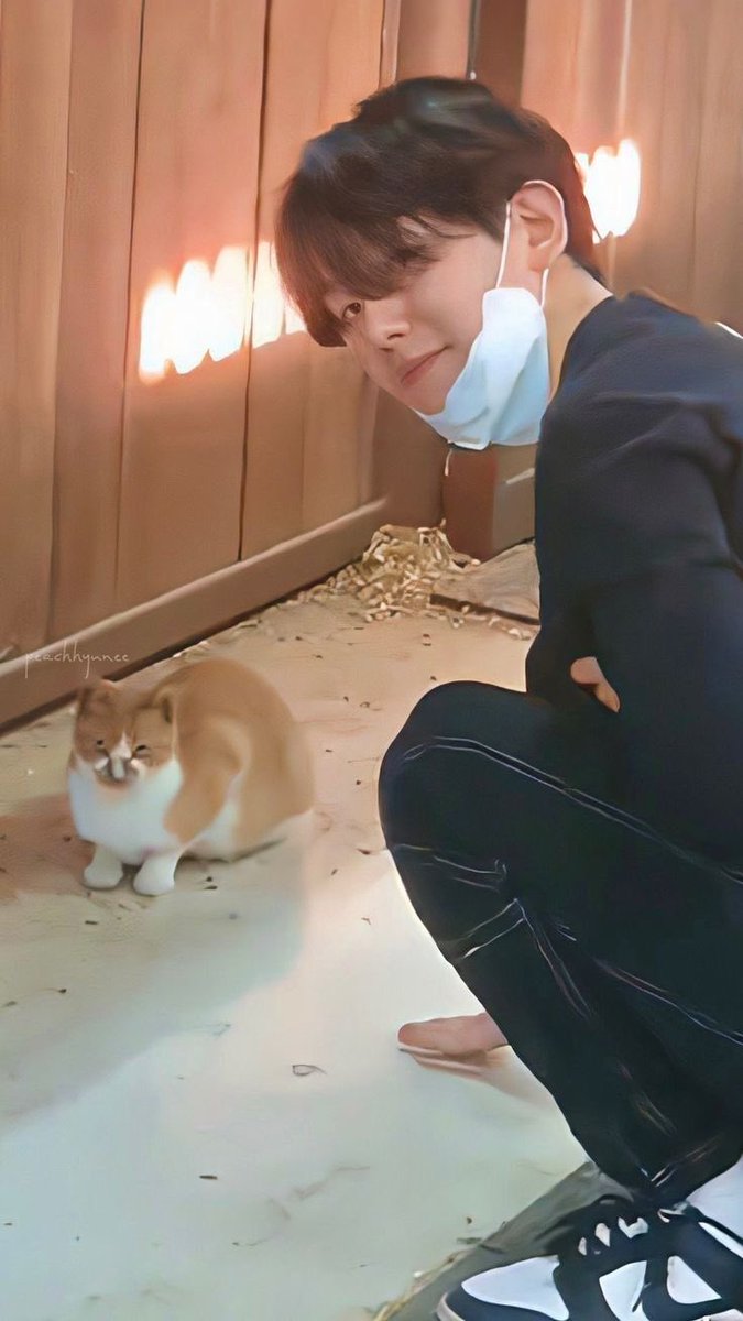 bhundredsk's tweet photo. /วิท ไอแดงแมวเวอร์ชั่น https://t.co/ZqJGLXXtJ5