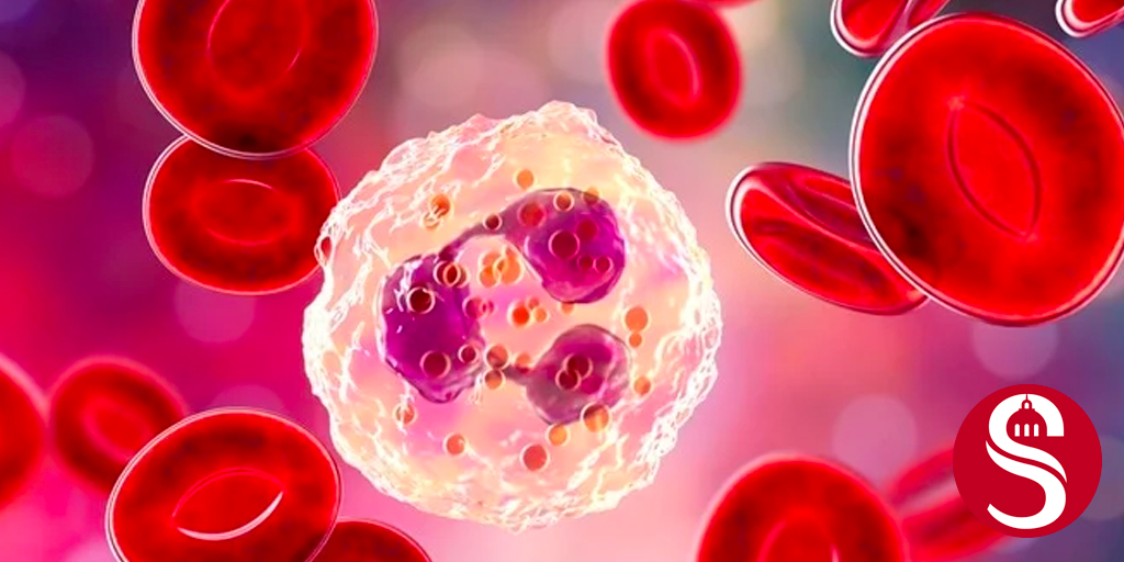 📅Lundi 5 décembre de 13h à 14h, L'expression de CARD9 dans les neutrophiles contrôle leur métabolisme et protège contre la
avec Camille Danne, Salle des conférences au RDC du bâtiment Kourilsky, 184 rue du Faubourg Saint-Antoine 75012