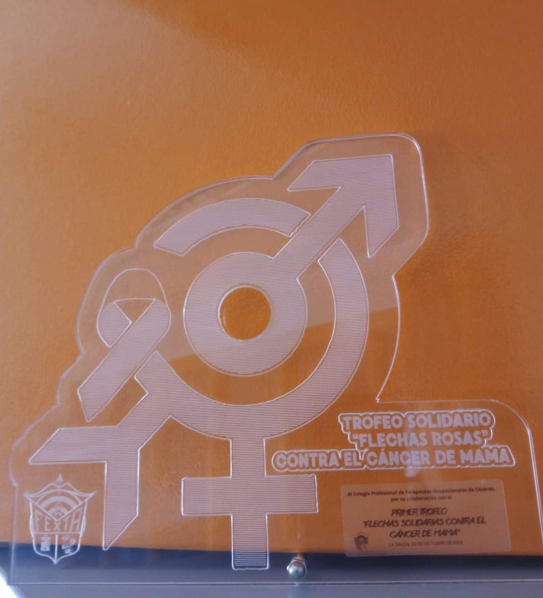 coptoex's tweet photo. Desde la Federación Extremeña de Tiro con Arco @ArcoExtremadura, recibimos este premio en gratitud a la participación y colaboración de #COPTOEX con el "Proyecto Flechas Rosas Contra el Cáncer de Mama".

Que nos invitaran a participar ya era suficiente reconocimiento💘.

Gracias! https://t.co/idLbGZONO0