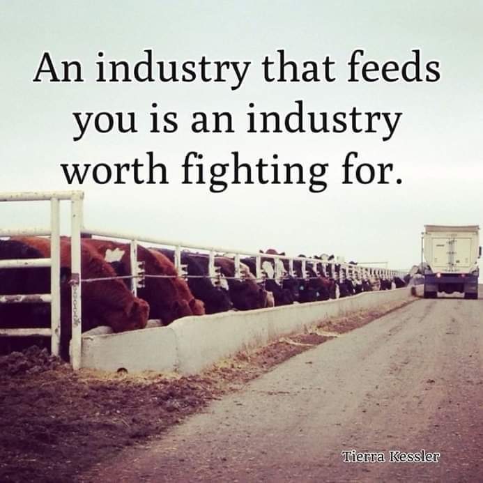 asithadjay's tweet photo. @farm @DairyGood @cattlecouncilau https://t.co/Asa8ut00EE