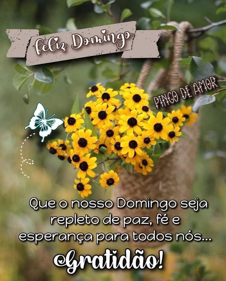 Suely Couto (@SuelyCouto) / Twitter Suely Couto (@SuelyCouto) / Twitter