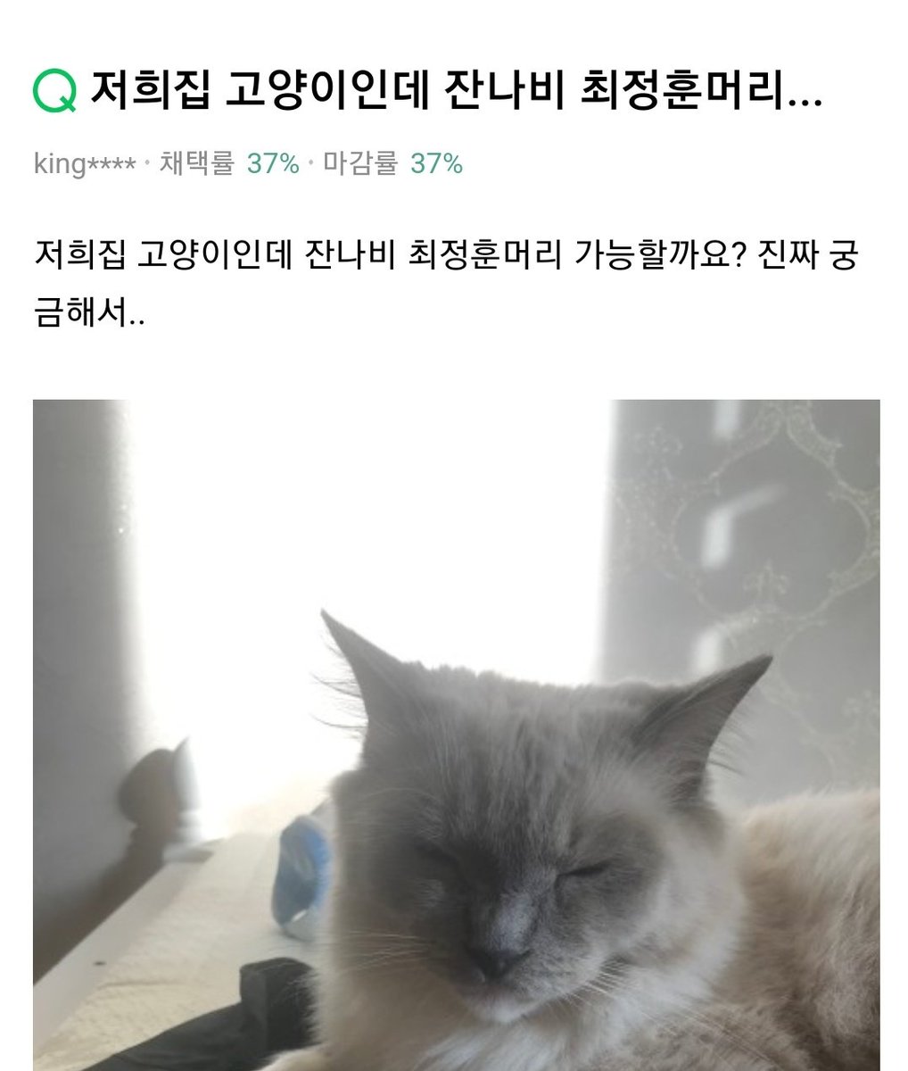 지식인보다가 너무웃겨서 임종¹함