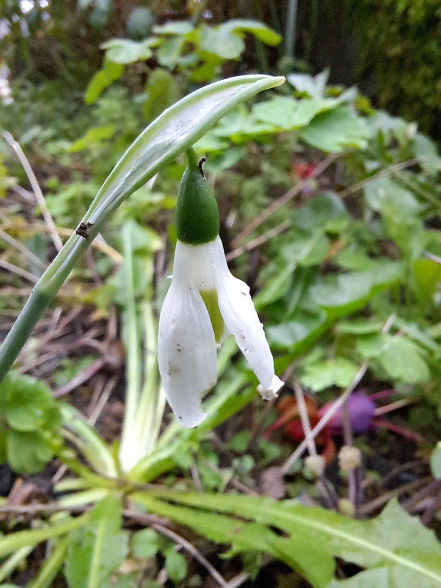 George Monbiot tweet media