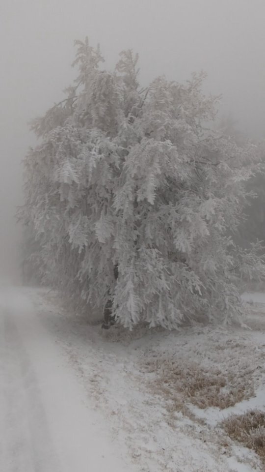 Ski_Telnice's tweet photo. Zima přichází 😇
#telnice #zima #krusnehory #usteckykraj #lyžování #snih #zadnitelnice #adolfov #usti #winteriscoming #vikend #vanoce https://t.co/Q2rGA825fU https://t.co/KnKo5YafuF