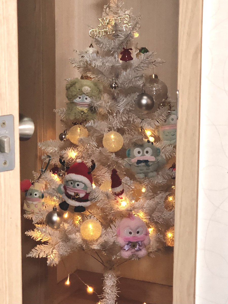 gyochange's tweet photo. 똑똑똑..
안녕하세요 교동트리예요 😚🎄 https://t.co/VxbOGkfPY3