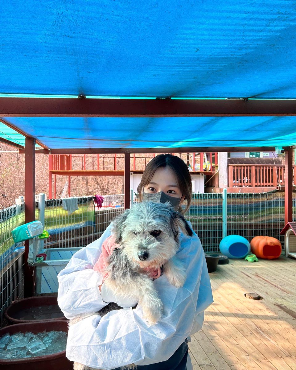 김도희 tweet media