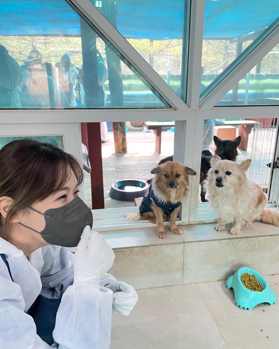 김도희 tweet media