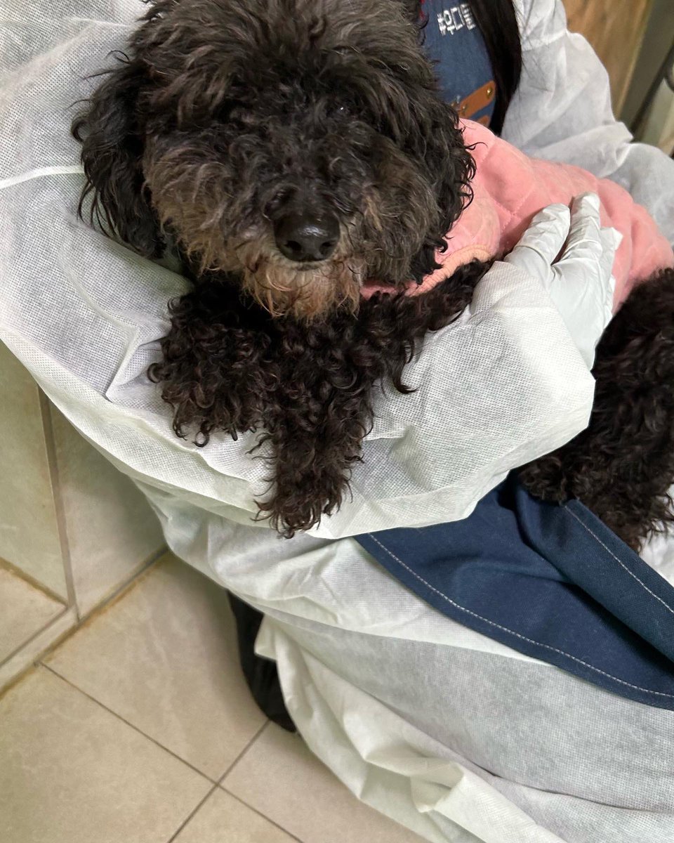 김도희 tweet media