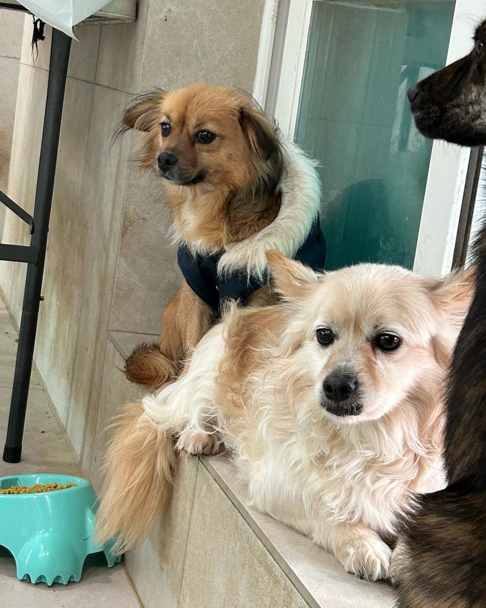 김도희 tweet media