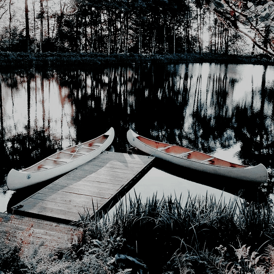 ⭒ 𝓝𝓲𝒌𝒍𝒂𝒔 tweet media