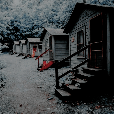 ⭒ 𝓝𝓲𝒌𝒍𝒂𝒔 tweet media