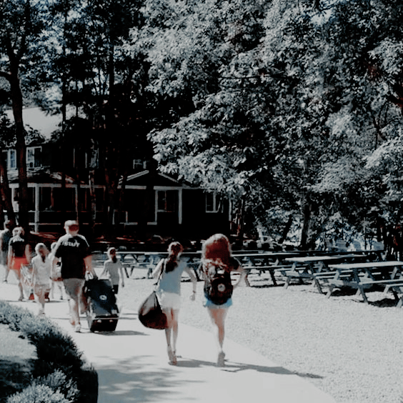 ⭒ 𝓝𝓲𝒌𝒍𝒂𝒔 tweet media