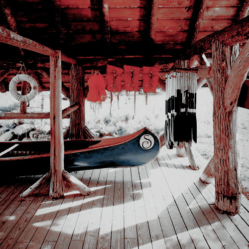 ⭒ 𝓝𝓲𝒌𝒍𝒂𝒔 tweet media