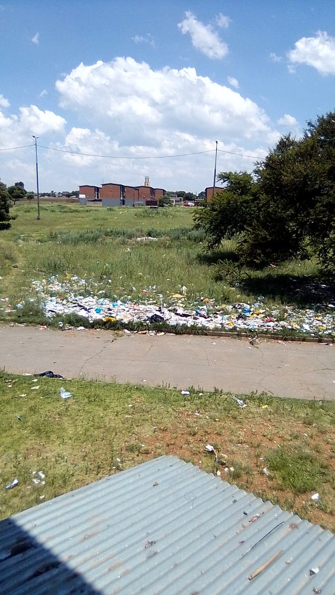 FaradebaE's tweet photo. @CityofJoburgZA please can we get assistance with the cutting and removal of trees in ext 4,Eldorado Park, heerengrath street,cnr Mahoney single ,it's dangerous and a haven for crime https://t.co/4pvjBR7HnS