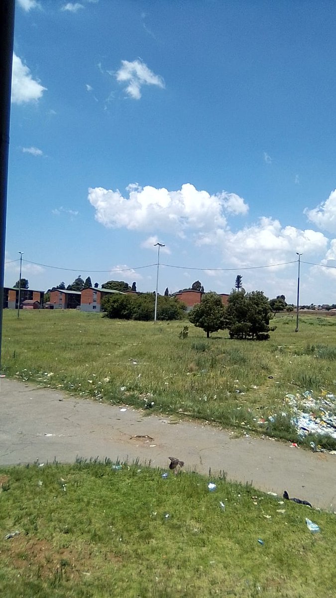 FaradebaE's tweet photo. @CityofJoburgZA please can we get assistance with the cutting and removal of trees in ext 4,Eldorado Park, heerengrath street,cnr Mahoney single ,it's dangerous and a haven for crime https://t.co/4pvjBR7HnS