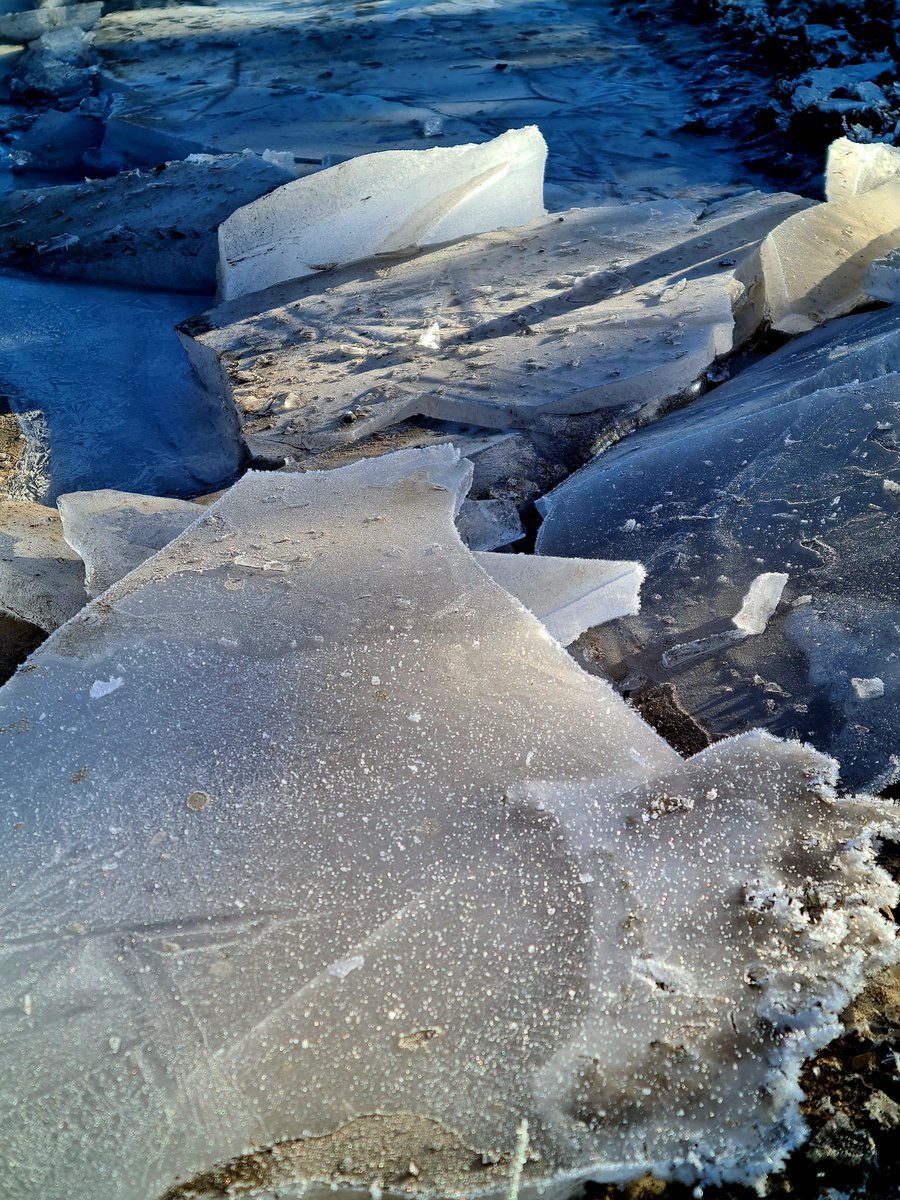 J. SANTIAGO🦁 tweet media