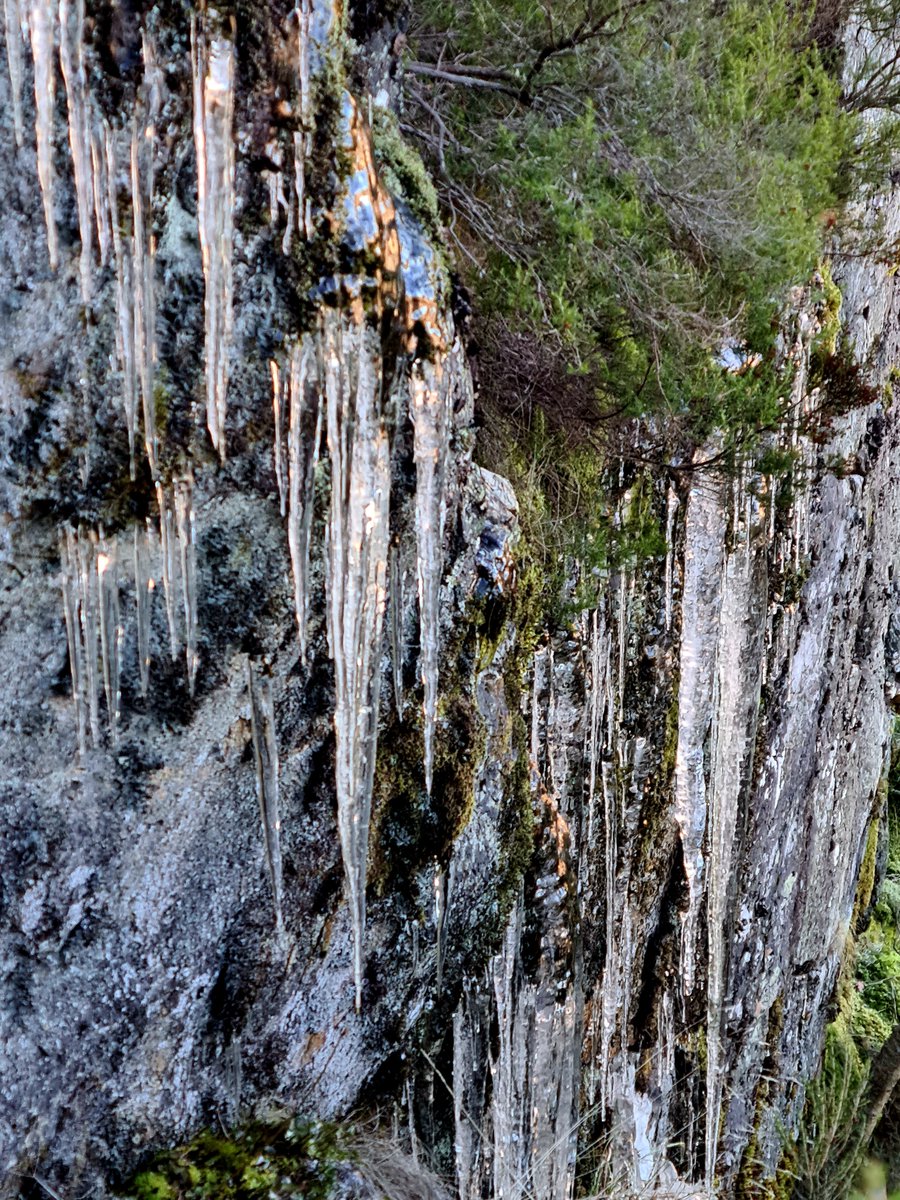 J. SANTIAGO🦁 tweet media