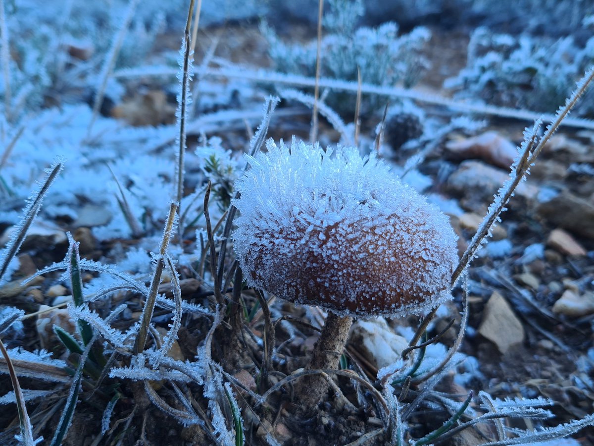 J. SANTIAGO🦁 tweet media