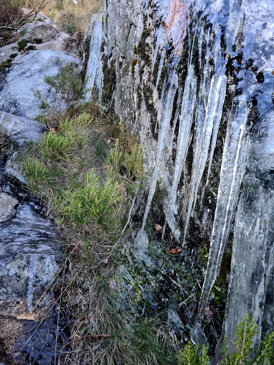 J. SANTIAGO🦁 tweet media