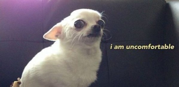 AG_Malt's tweet image. Go shopping and relax away from your thesis after an exhausting week... Coming across a jumper that reminds you of it 😅

#collectivecreativity #phdlife #AcademicTwitter #AcademicChatter @AcademicChatter @OpenAcademics