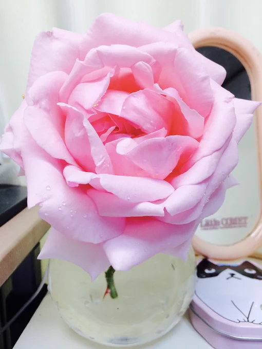 #あなたの作る薔薇を魅せてくださいりぼんではあまり薔薇を描かなかったけどハーレクインはほぼ毎回カラーに薔薇を描いてました。リアル薔薇は羽衣とピエール.ド.ロンサール。 