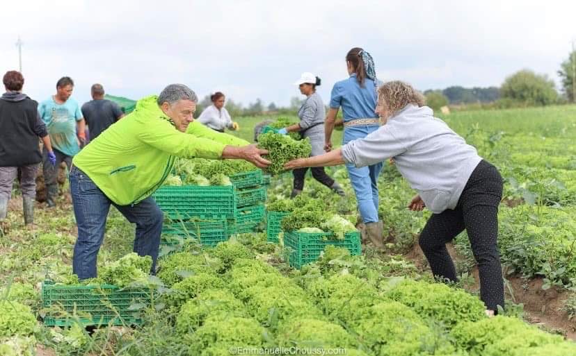 JJBOLZAN tweet media