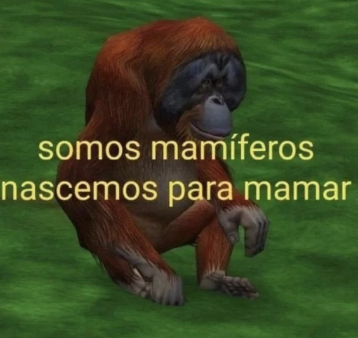 se a terra não é plana como explica o céu reto? (@moreiraviw) on Twitter photo 